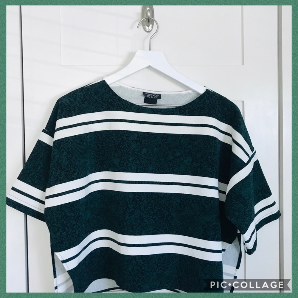 Animal print stripe top
